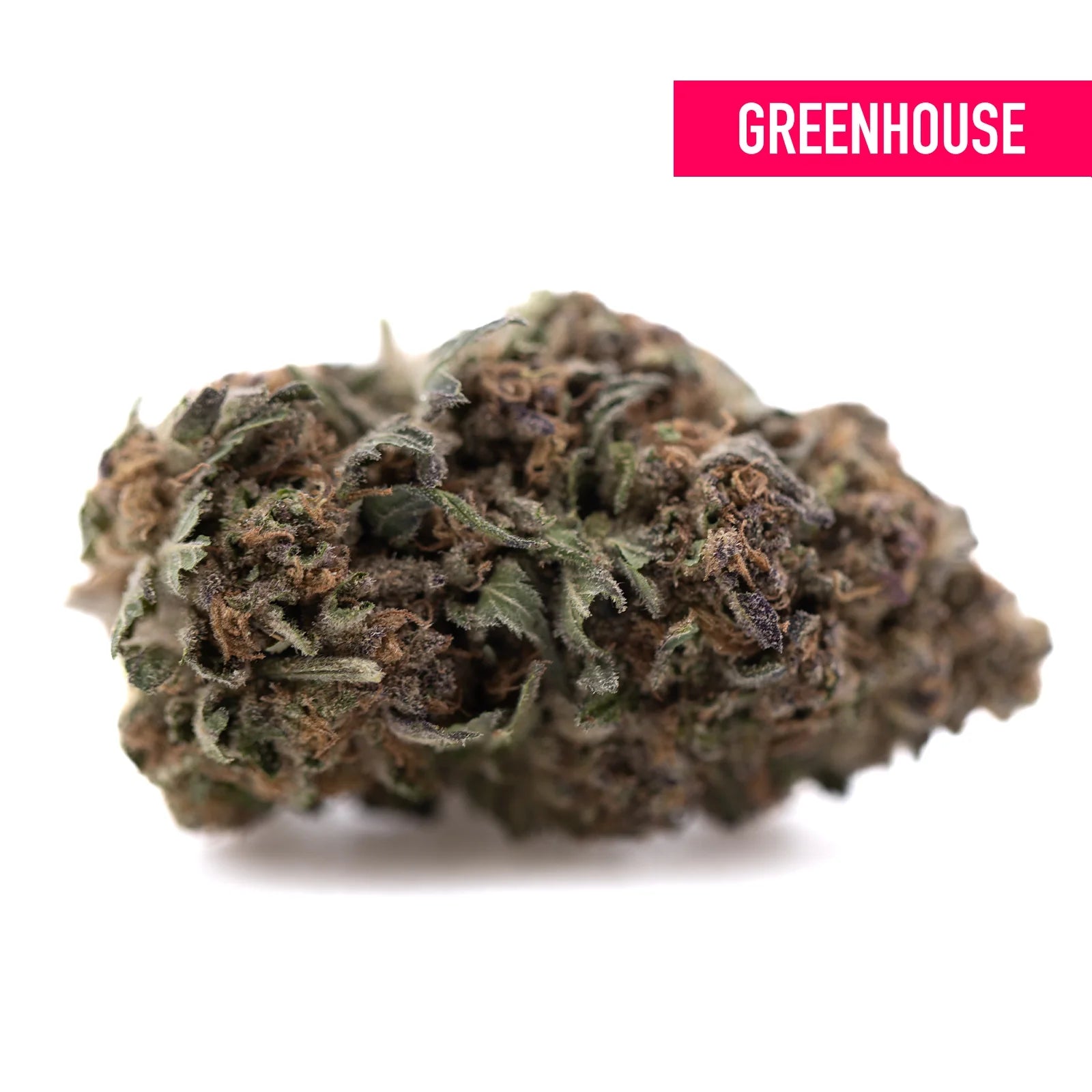 A dense tropical punch greenhouse thca flower hemp bud with green and brown hues and fine trichomes highlighting terpene profiles