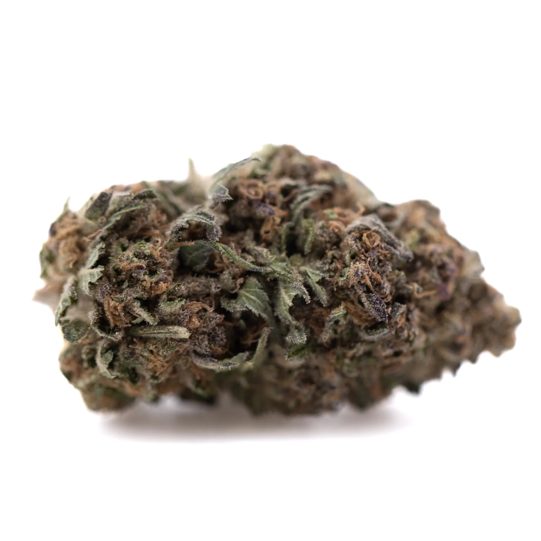 A dense greenhouse thca flower tropical punch hemp bud with green and brown hues and fine trichomes highlighting terpene profiles
