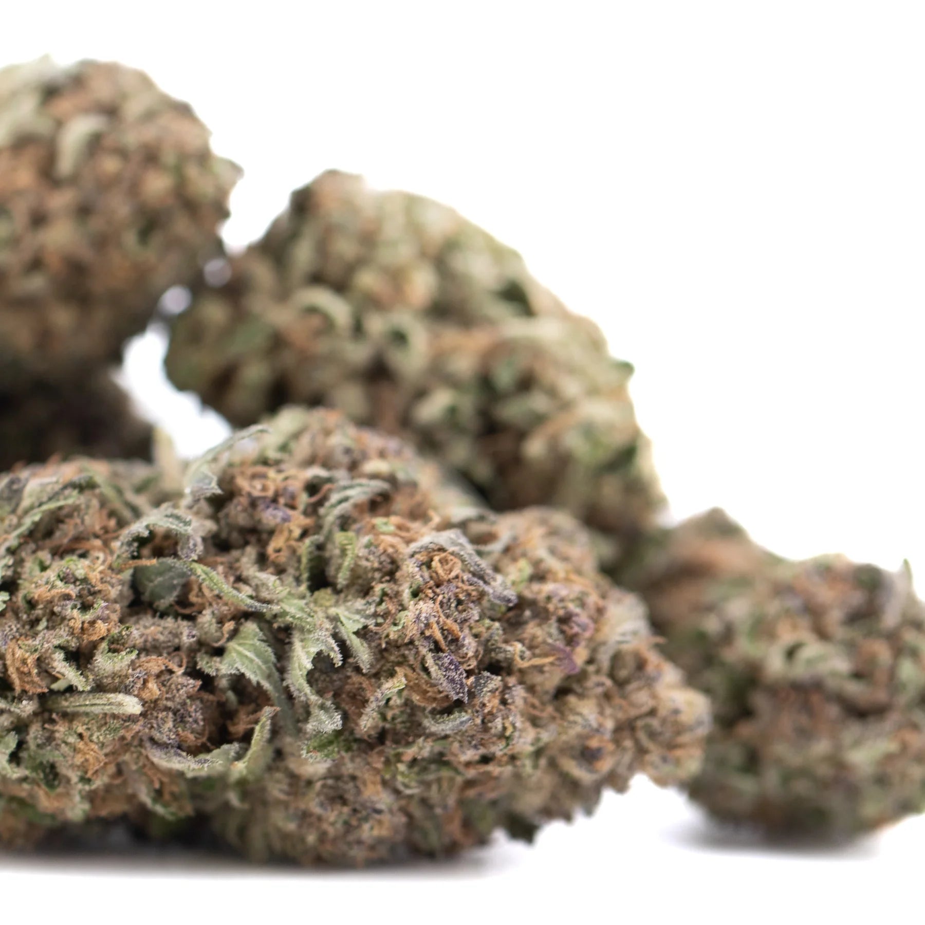 Mature tropical punch thca hemp flower with dense trichome-covered buds greenish brown greenhouse thca flower