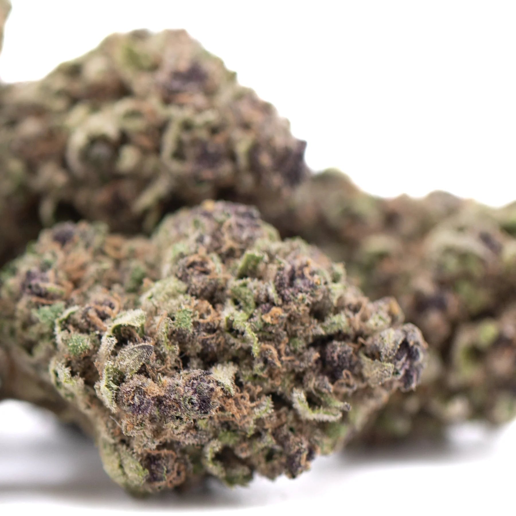 A dense tropical punch thca hemp flower bud with green and purplish hues covered in fine trichomes
