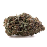 A dense tropical punch small thca flower hemp flower bud with green and brown hues covered in fine trichomes
