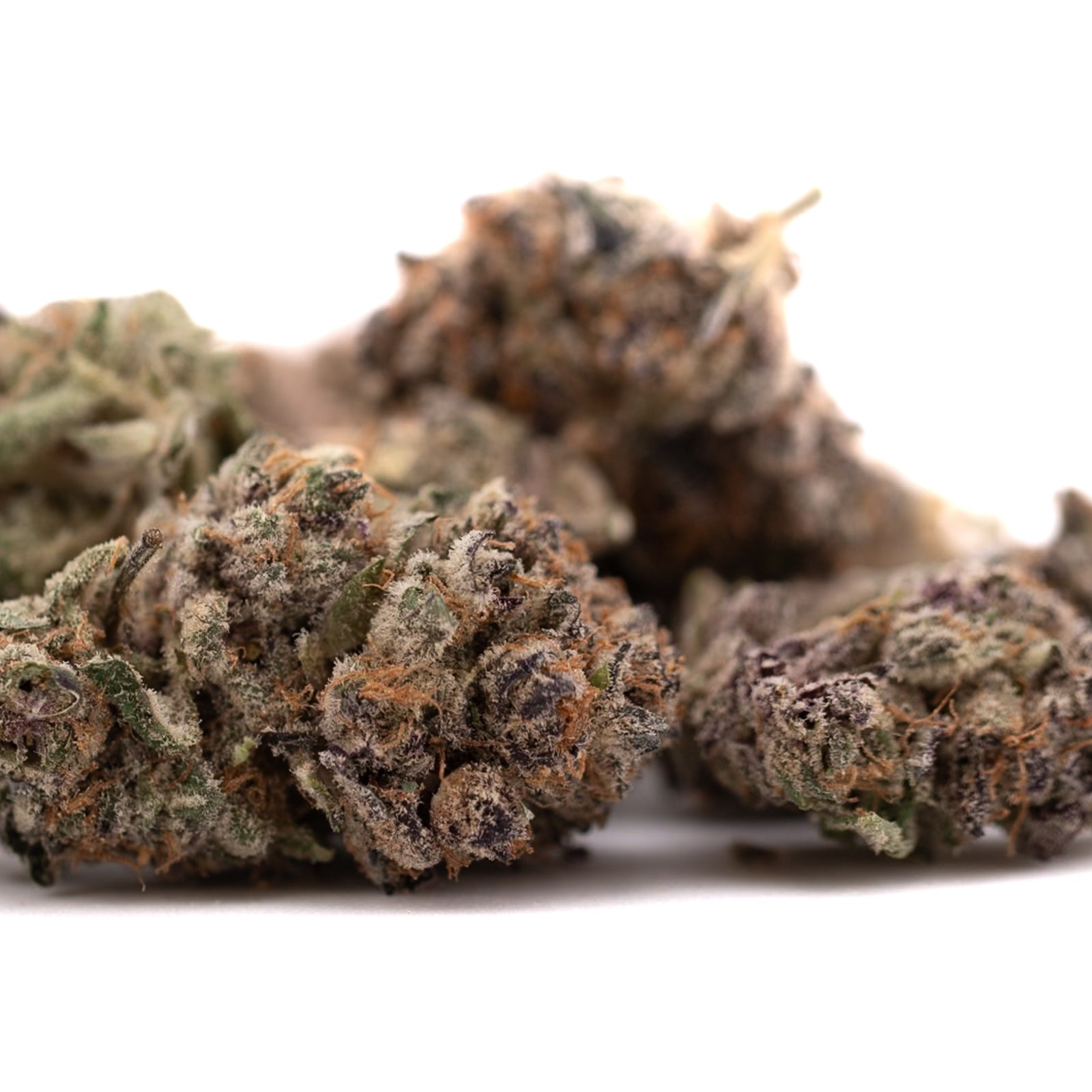 Dense tropical paradise indoor cannabis bud with orange hairs and frosty trichomes, labeled THCA flower