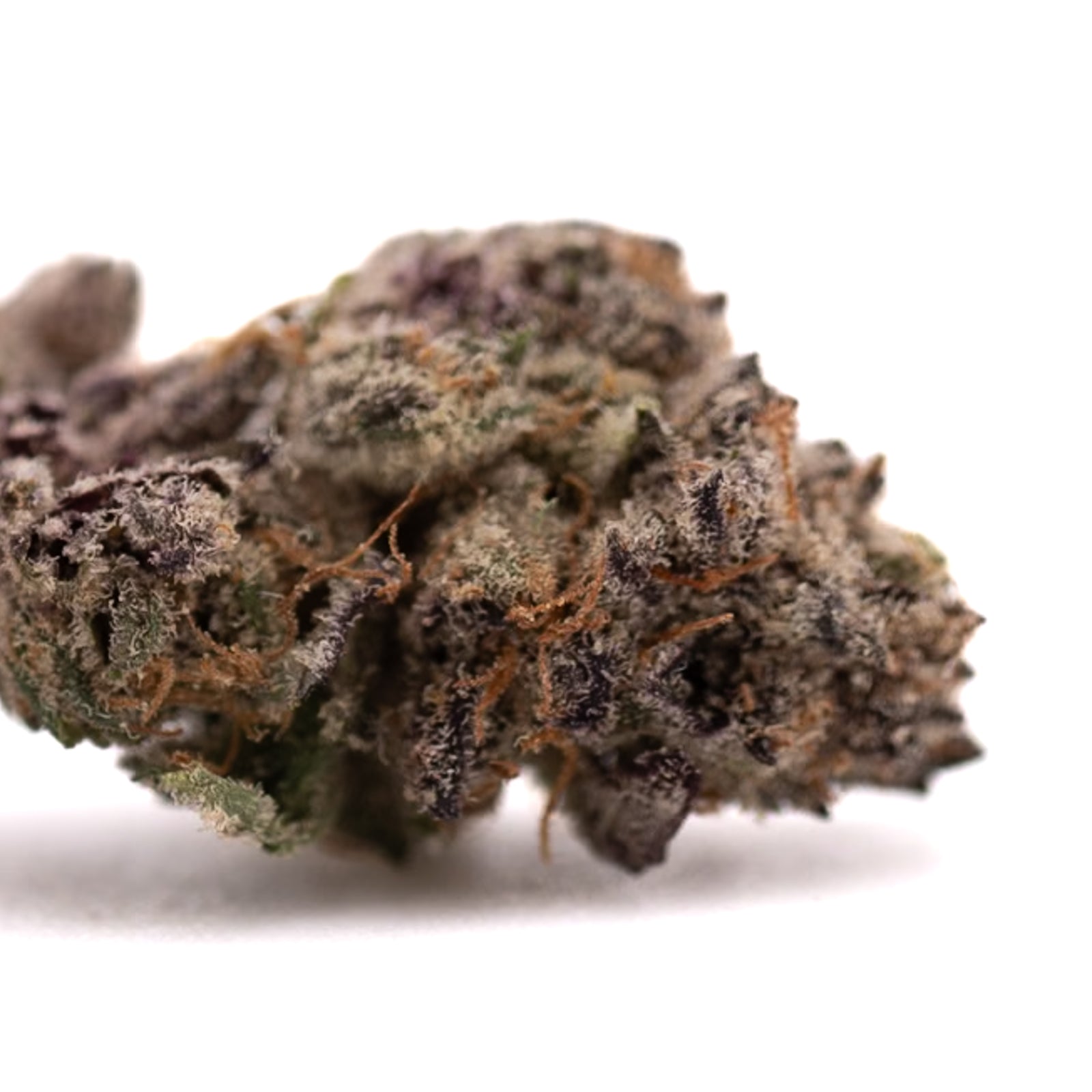 Tropical Paradise Indoor THCa Flower with purple hues, orange hairs, and trichomes