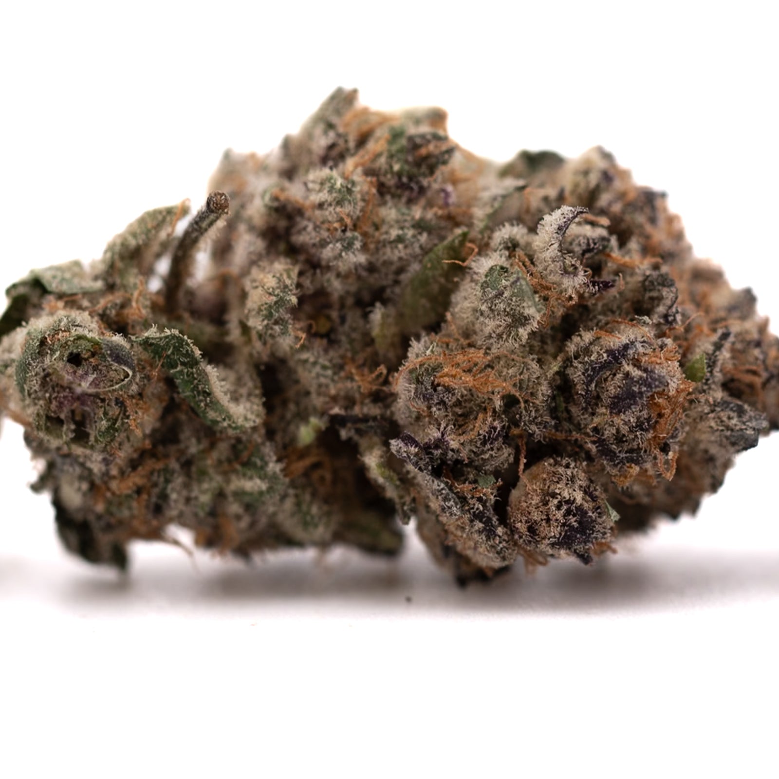 Close-up of Tropical Paradise Indoor THCa Flower Pineapple Trainwreck cannabis bud with trichomes