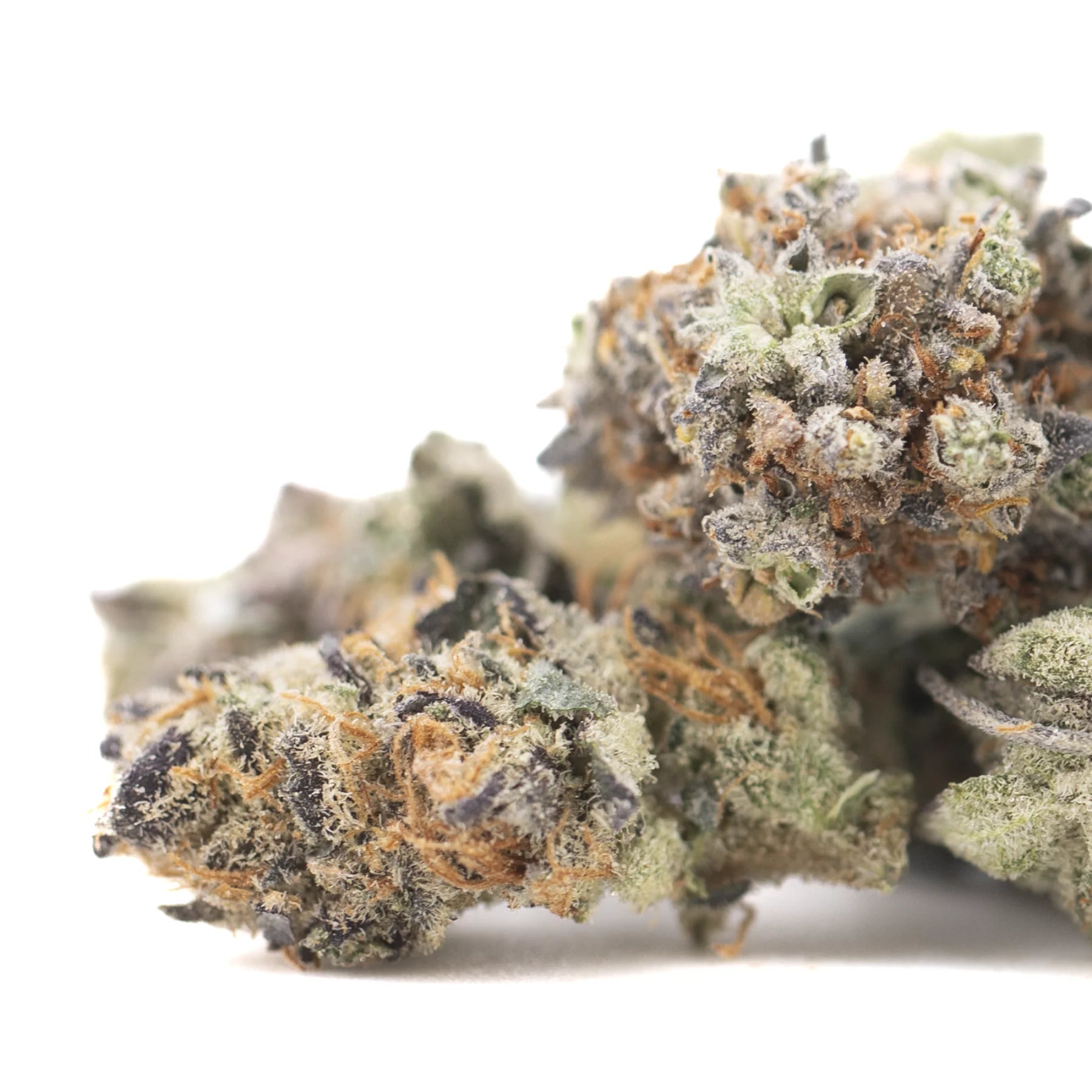 Truffle dawg indoor thca flower dense frosty hemp flower with green brown hues and fine trichomes like oregon blueberry