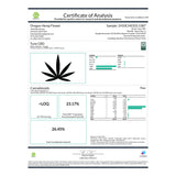 Tune CBD Hemp Flower - Plants