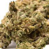 Tune CBD Hemp Flower Smalls - Plants