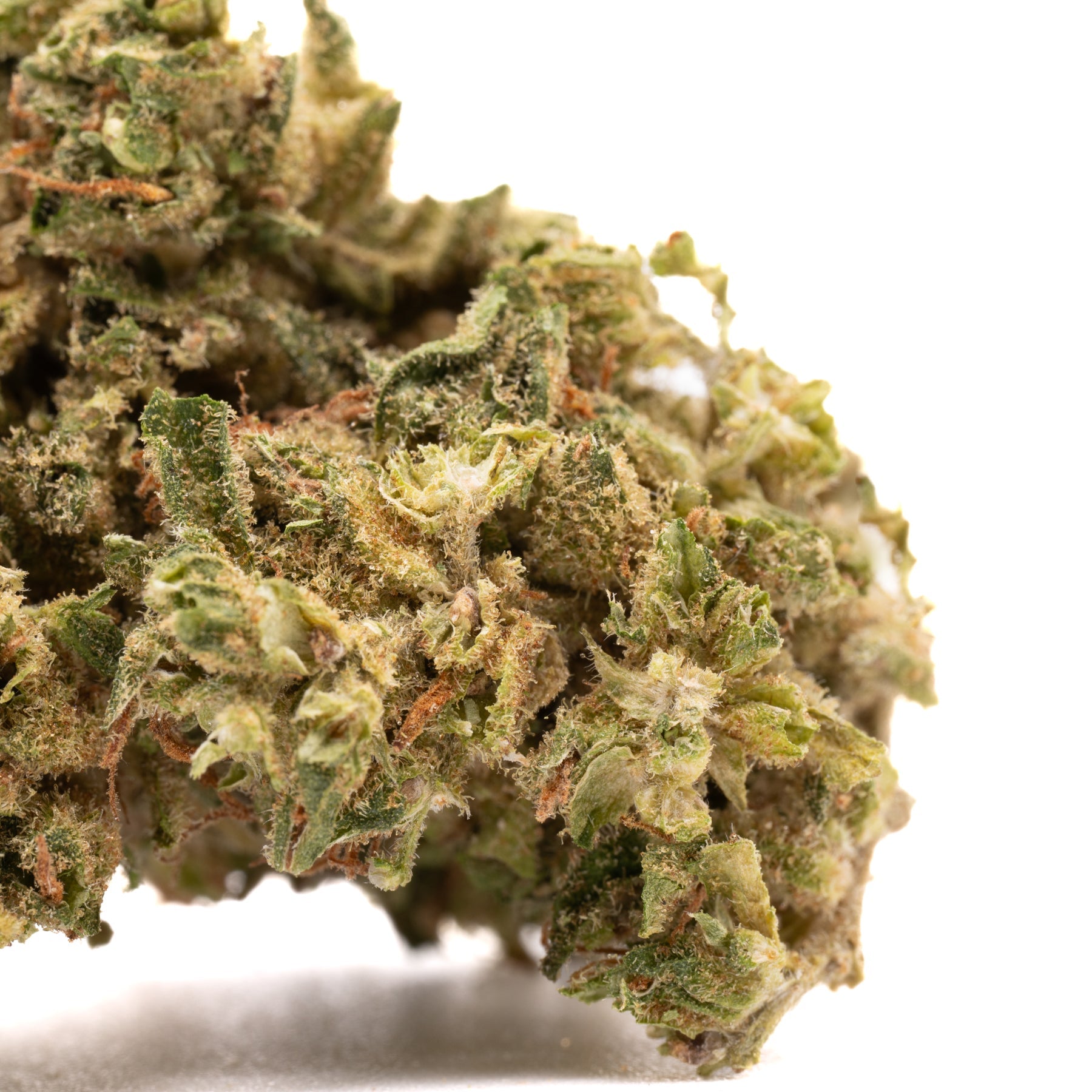 Tune CBD Hemp Flower Smalls - Plants