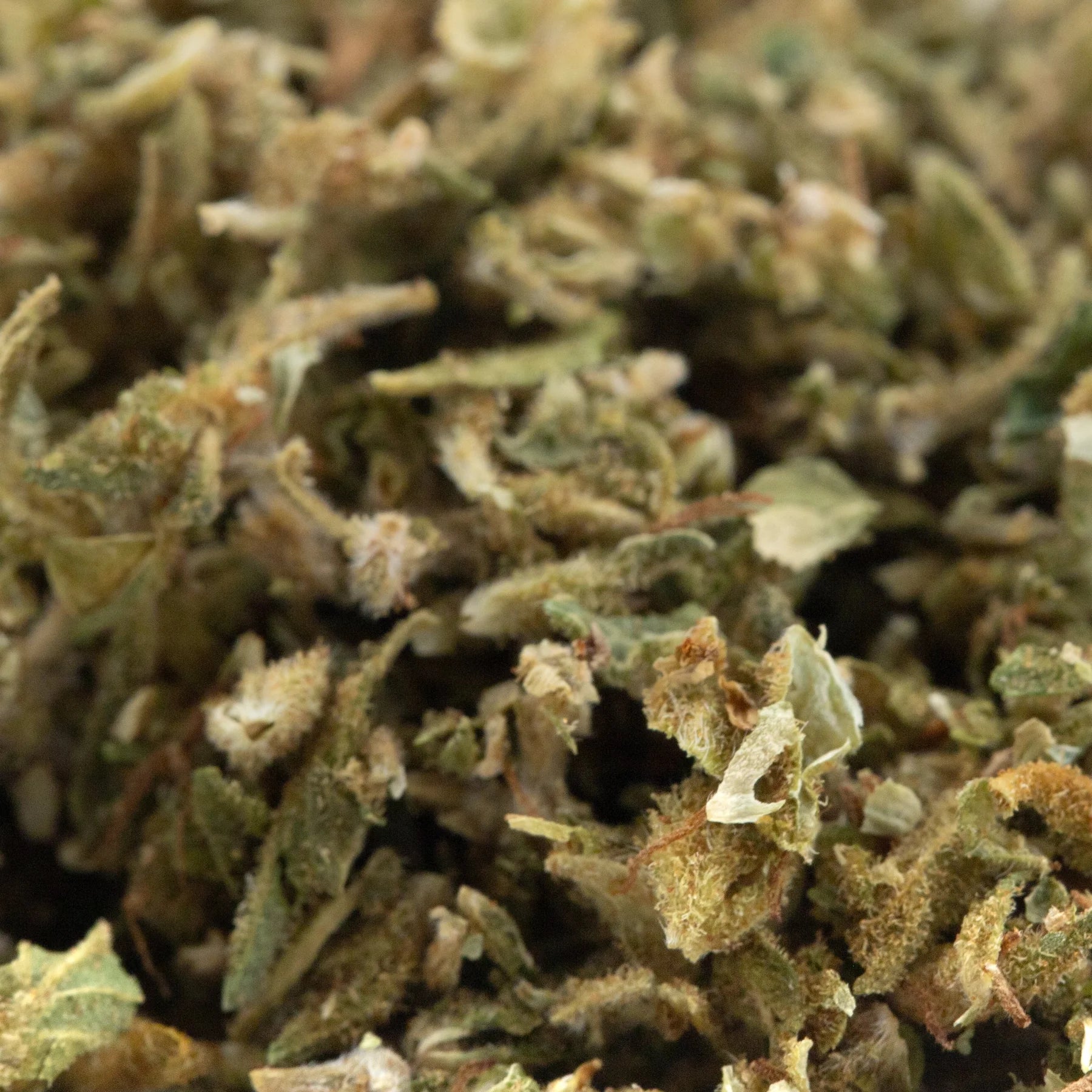 A dense textured tune cbd hemp flower trim bud with green brown hues and white trichomes pre converted cbd pivot f1 hybrid
