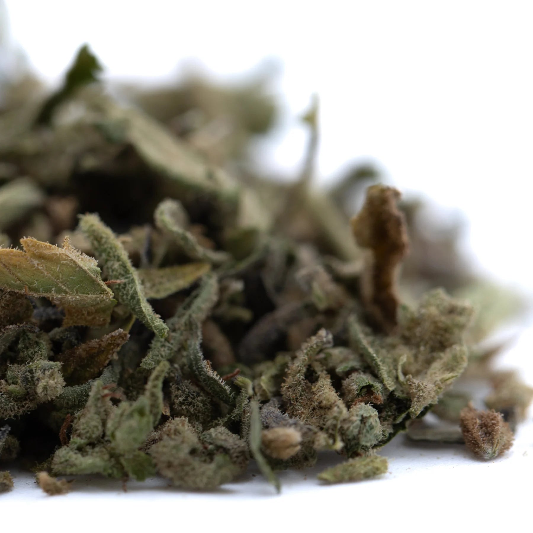 Dried turtle taffy full-term thca trim with green and brown hues featuring fuzzy trichomes and high cannabinoid content