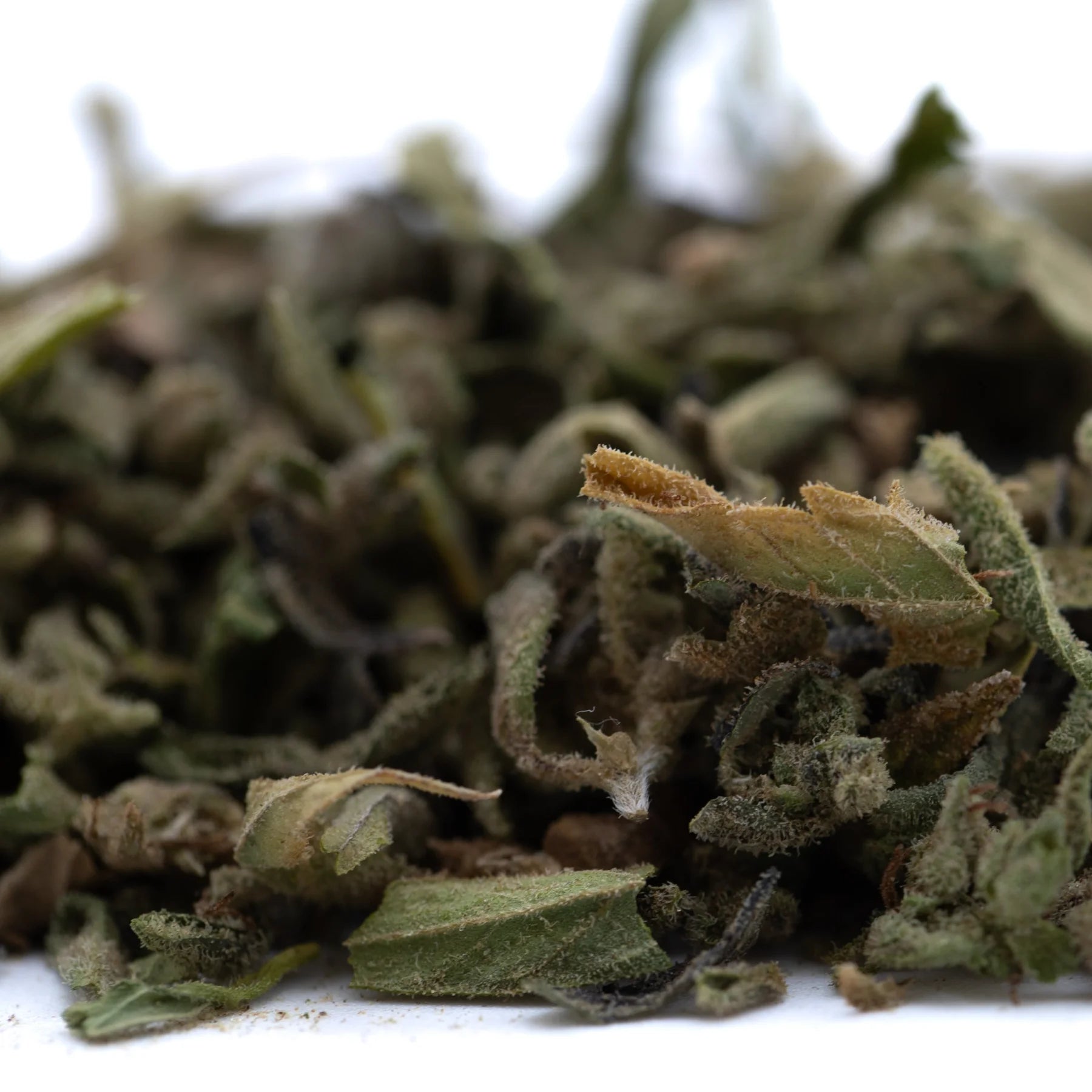 Dried sage leaves in muted green and brown hues showcasing turtle taffy full-term thca trim cannabinoid content