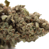 A dense frosty turtle taffy thca flower wholesale hemp bud with green and brown hues covered in fine trichomes