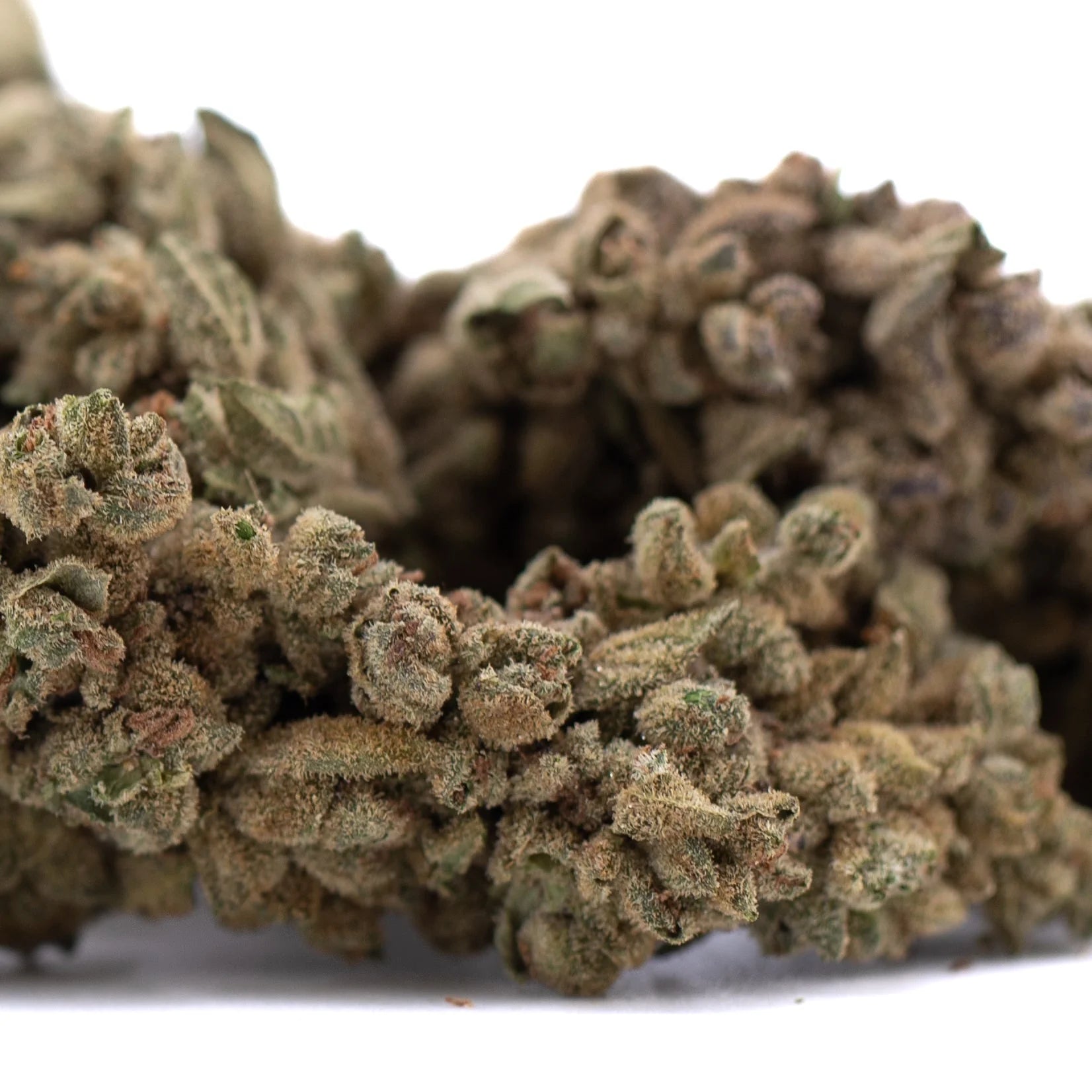 A dense textured turtle taffy thca flower wholesale hemp bud with green and brown hues covered in fine trichomes