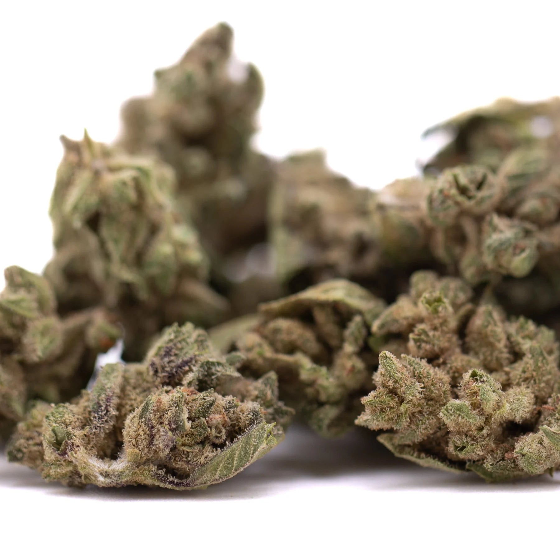 Green and brown frosty turtle taffy thca flower smalls hemp flower buds with textured surface full-term