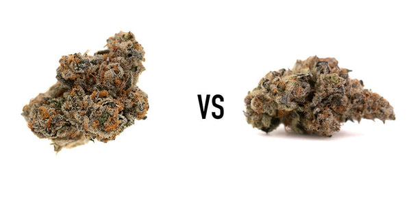 Raspberry Runtz #2 vs Cadillac Rainbow