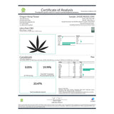 Ultra Pink Hemp Flower - Plants