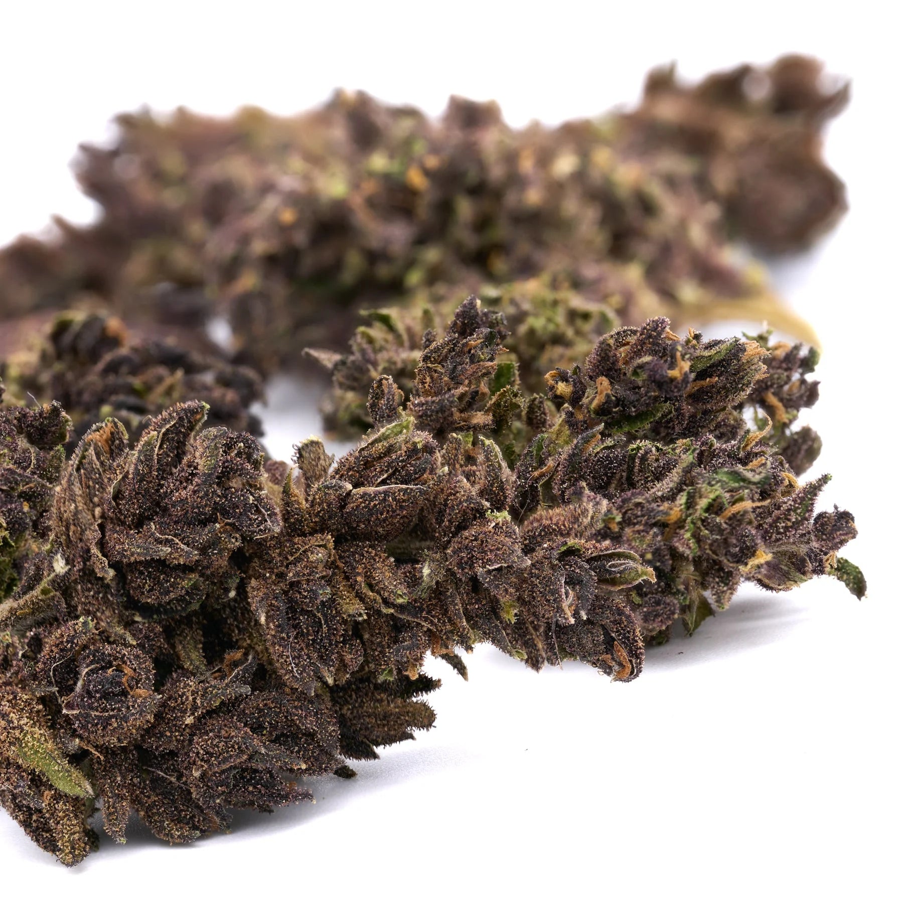 Ultra Pink Hemp Flower Smalls - Plants