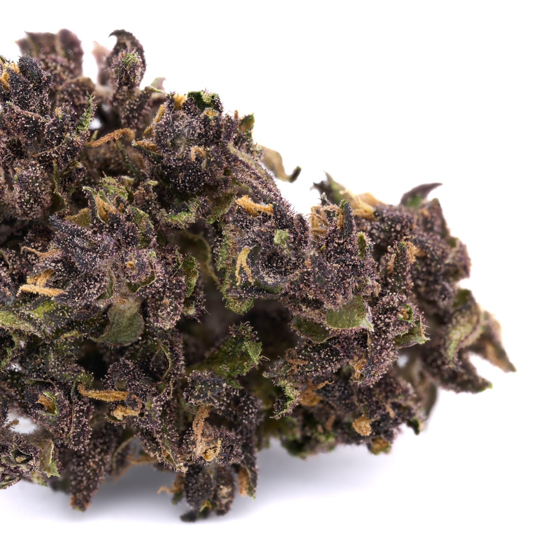 Ultra Pink Hemp Flower Smalls - Plants