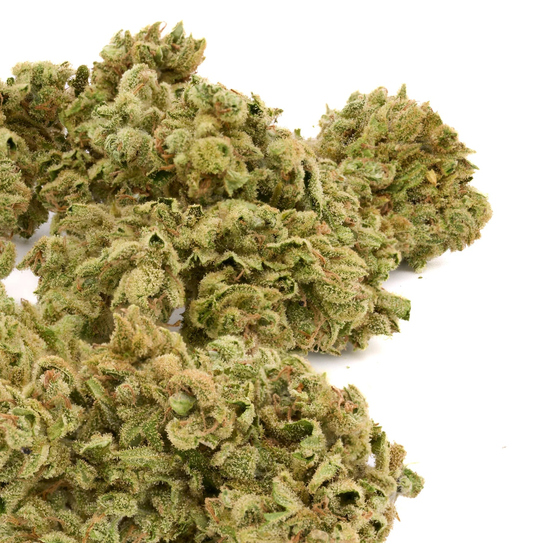 Vanilla Frosting 26.89% THCa Pre-Rolls - 1 Gram - 1g