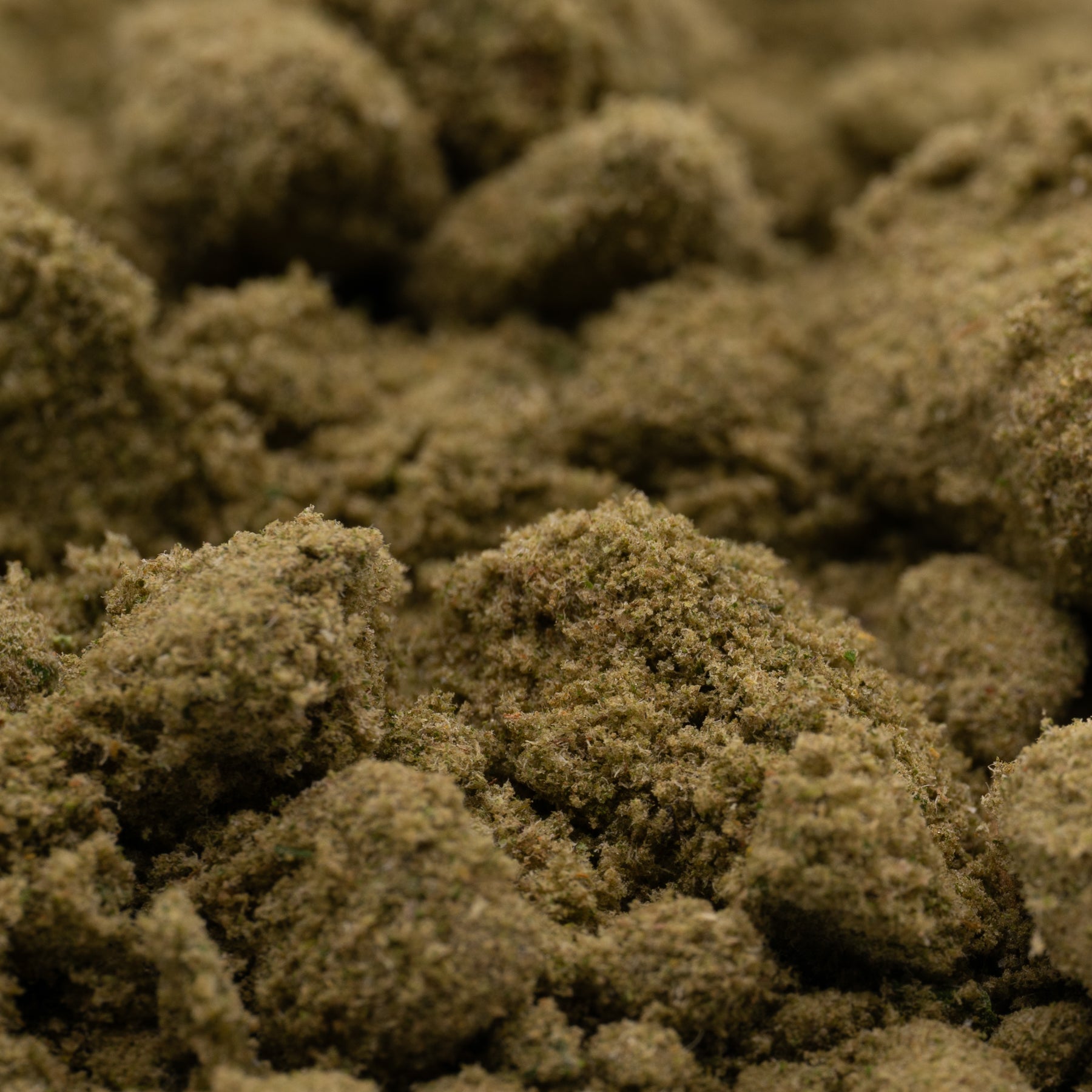 Vanilla Frosting - THCa Kief Wholesale - Plants