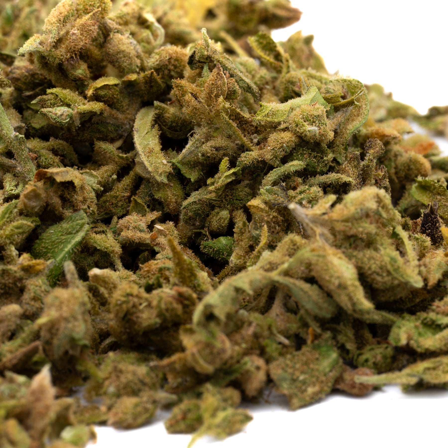 Vanilla Frosting THCa Trim Wholesale 1LB - 1 LB - Plants