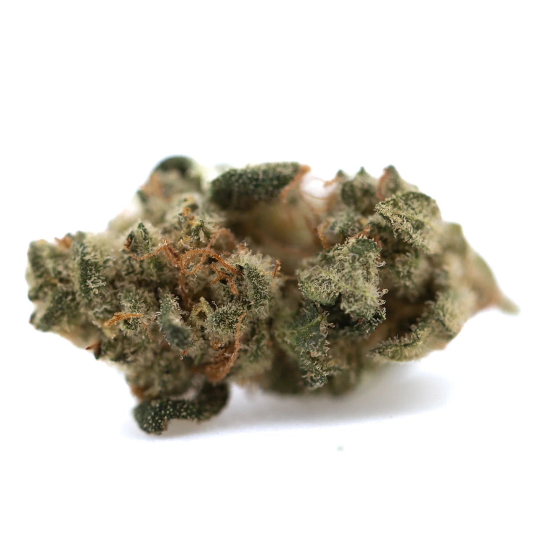 A dense green wedding cake indoor thca flower smalls bud with a fuzzy texture and orange pistils hemp flower