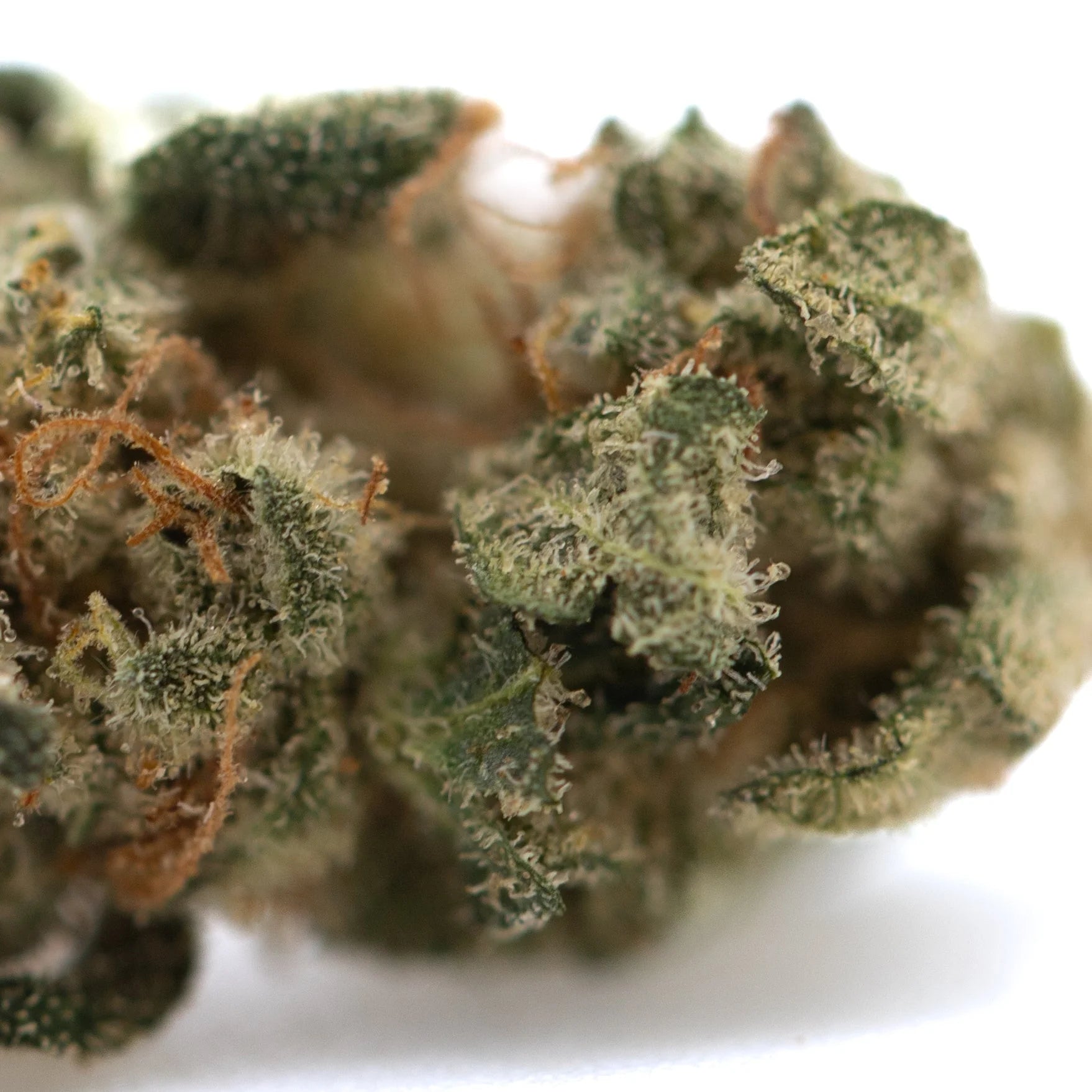 A dense green wedding cake indoor thca flower smalls with white trichomes and orange pistils hemp flower close-up
