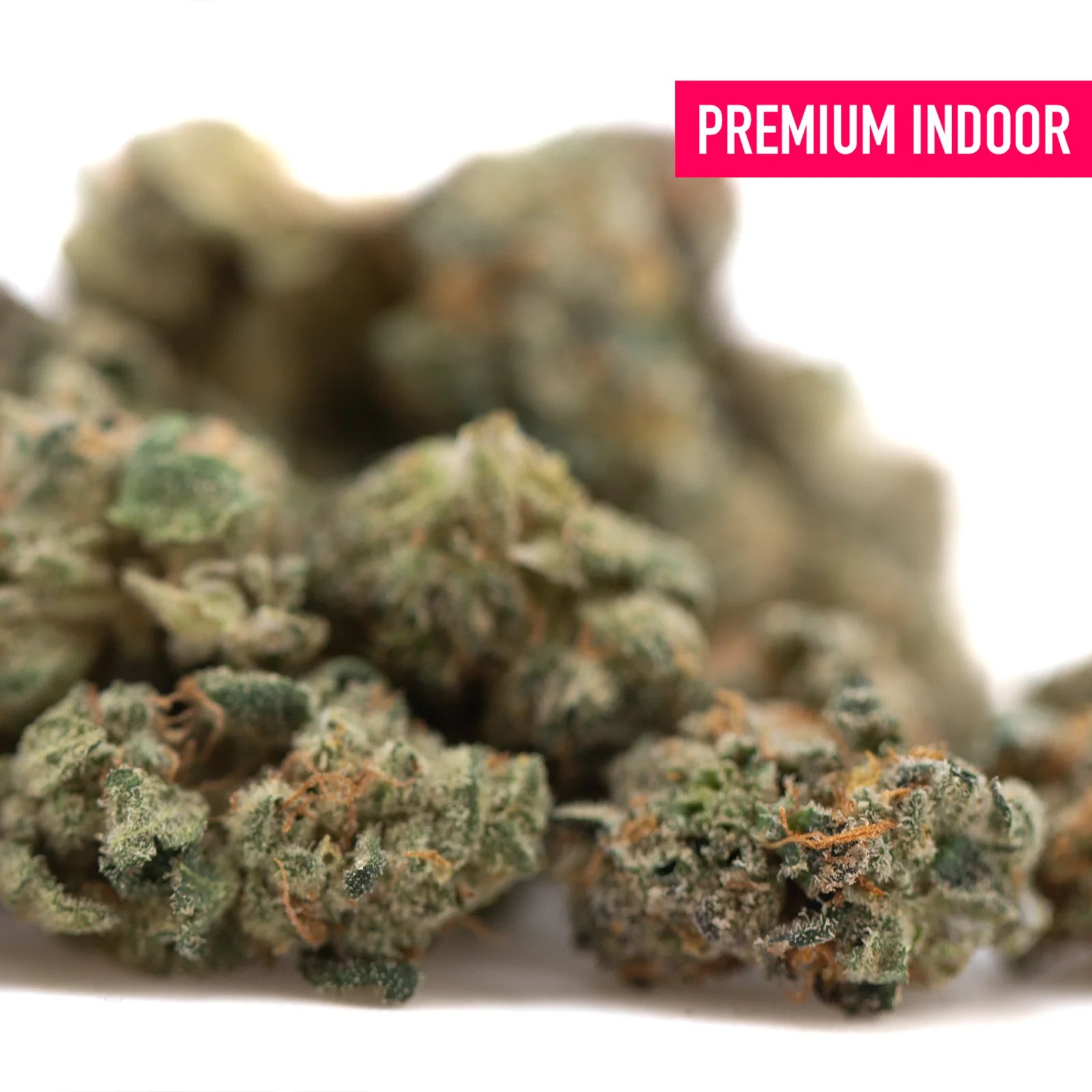 Premium wedding cake indoor thca flower smalls with dense green buds and vibrant orange pistils hemp flower close-up