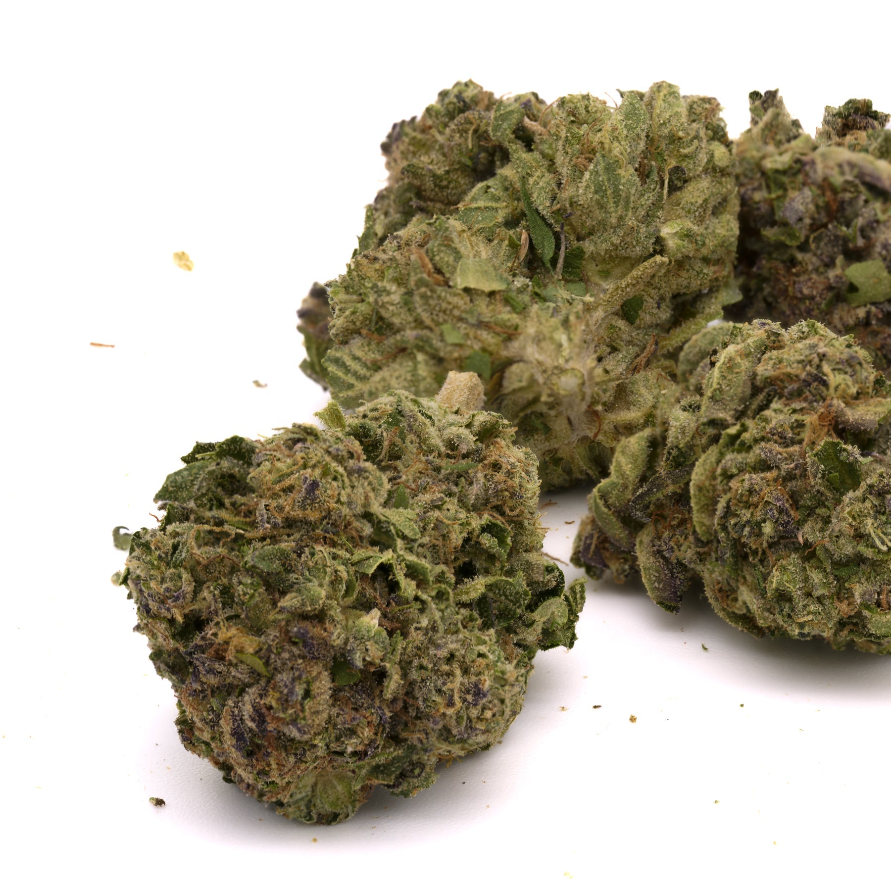 Wedding Cake THCa Hemp Flower Greenhouse - Plants