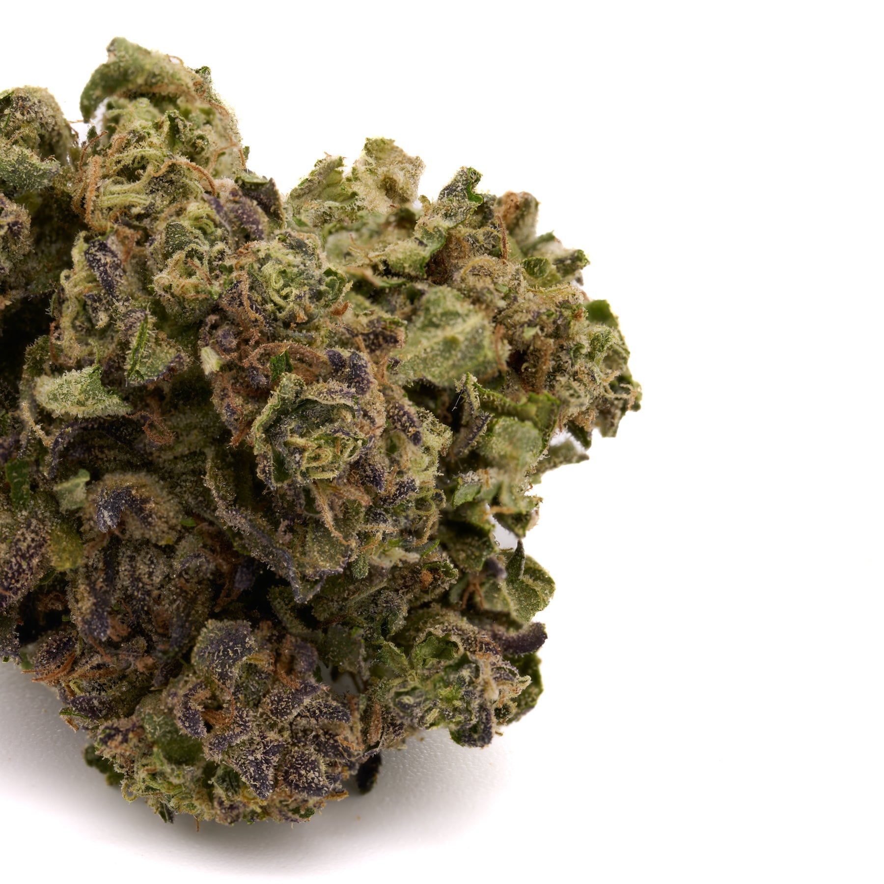 Wedding Cake THCa Hemp Flower Greenhouse - Plants