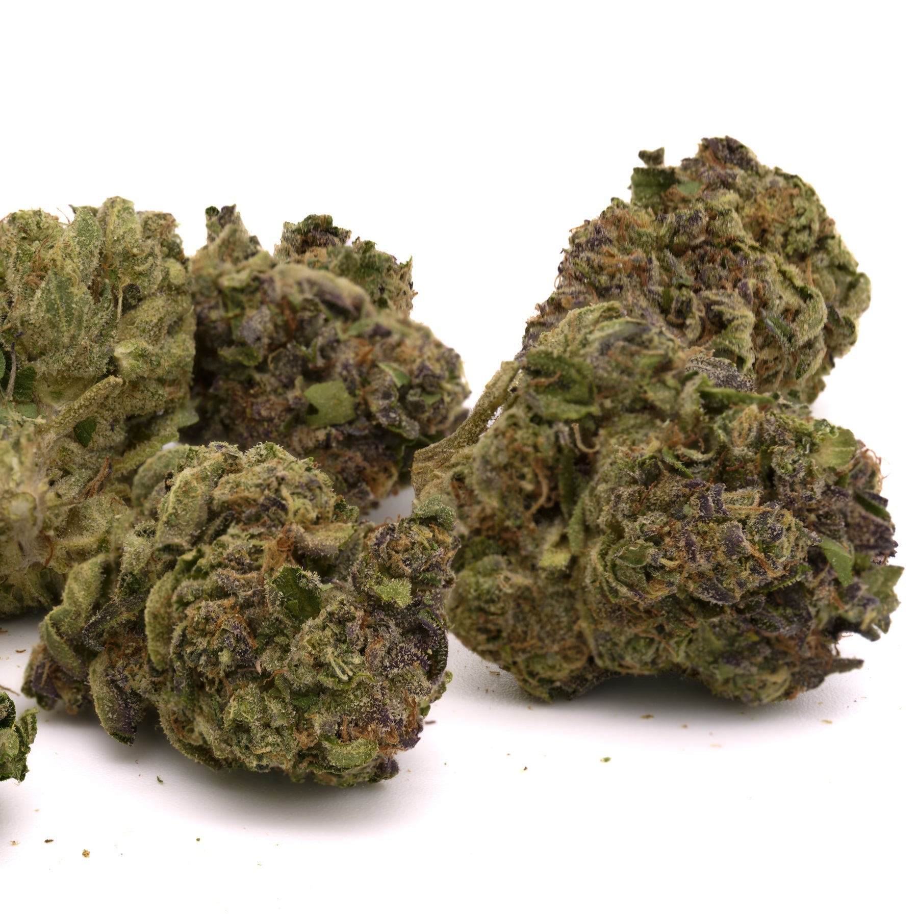 Wedding Cake THCa Hemp Flower Greenhouse - Plants