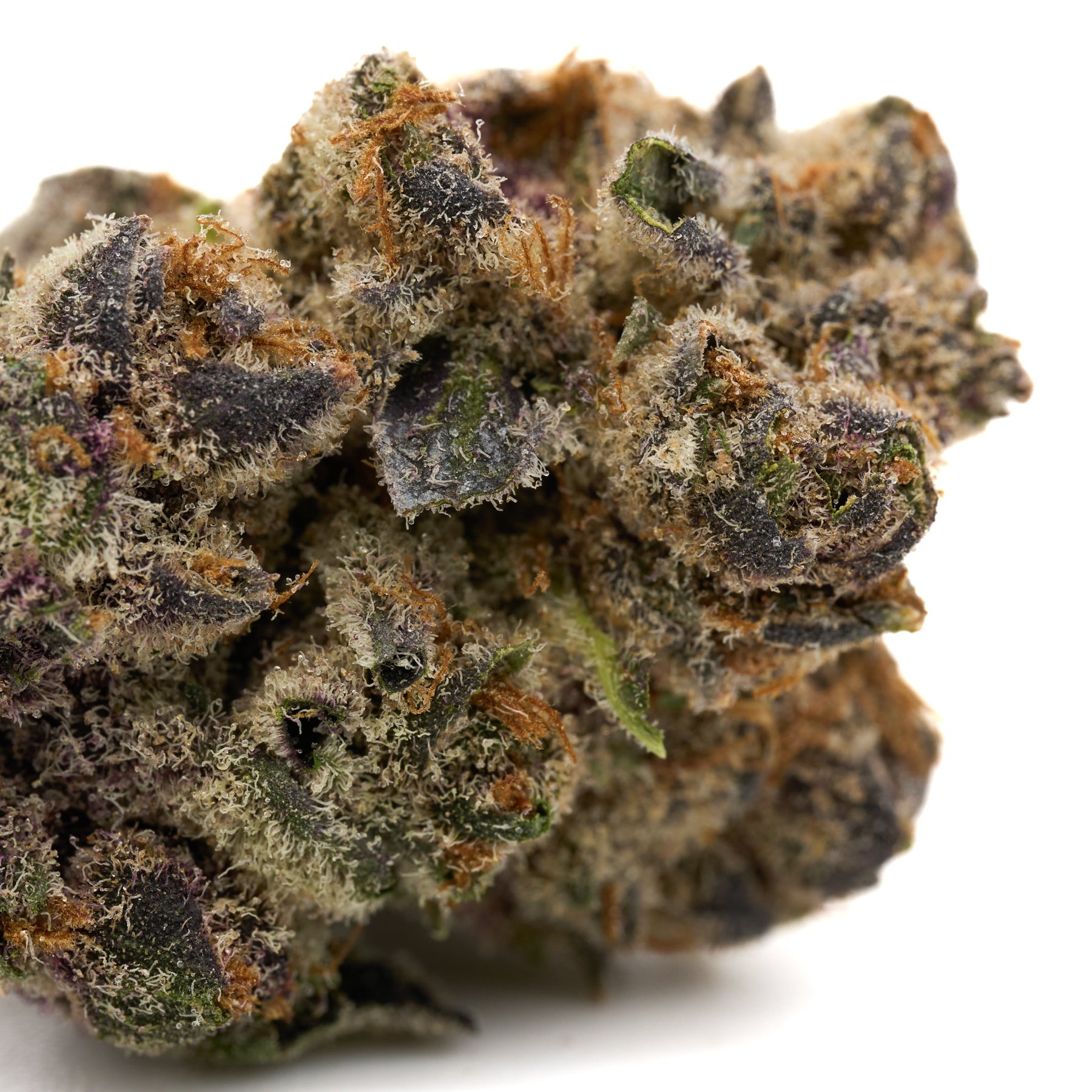 Wedding Cheesecake Indoor THCa Flower showing dense trichome-covered cannabis bud with purple green orange hues