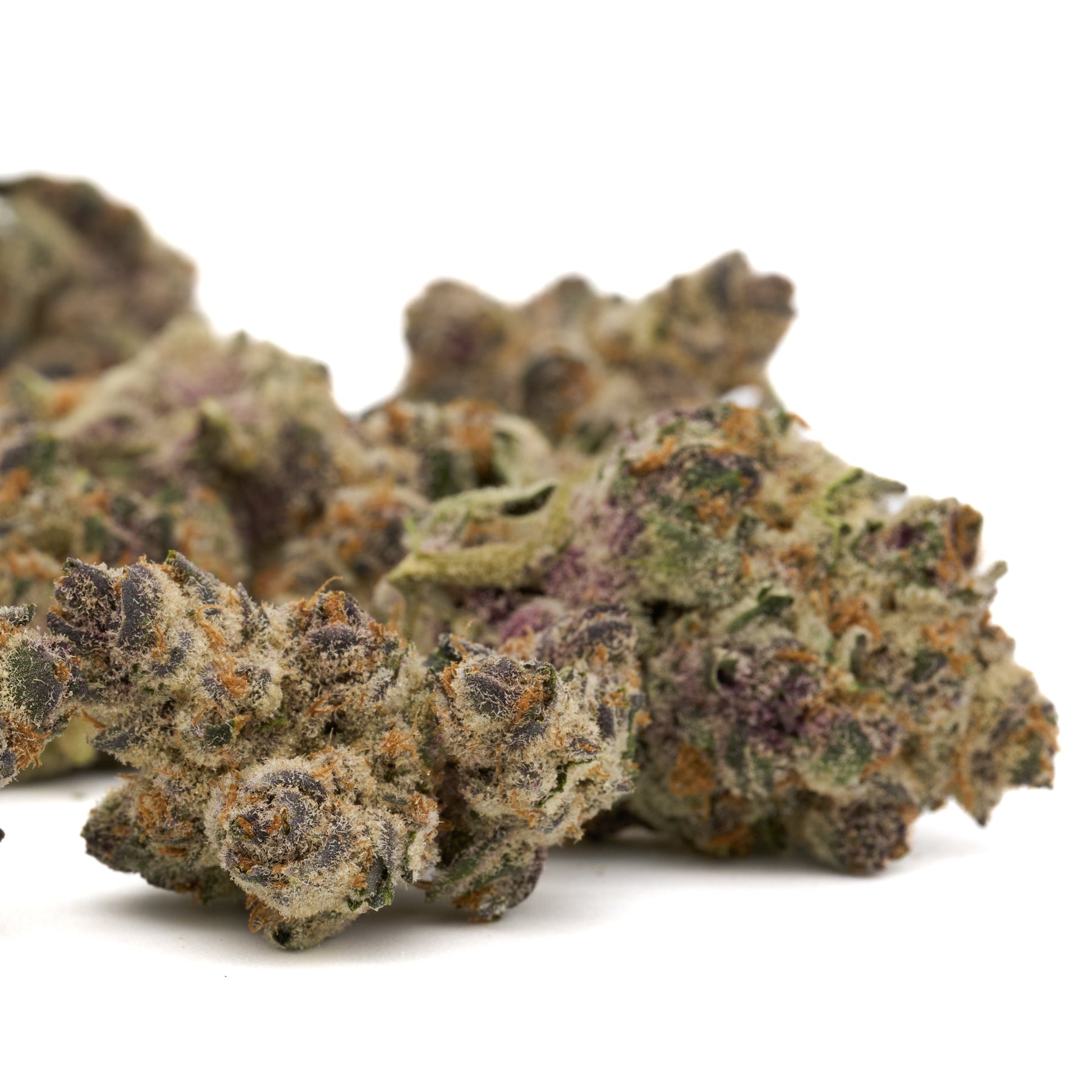 Dried Wedding Cheesecake Indoor THCa Flower with purple hues and visible trichomes