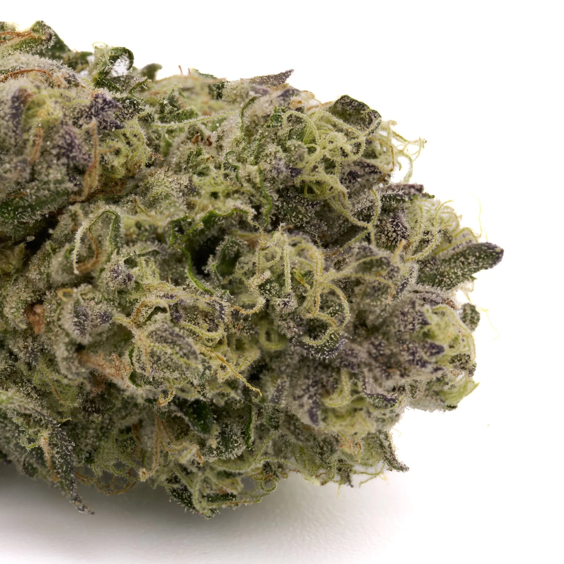 Wedding Crasher THCa Hemp Flower Greenhouse - Plants