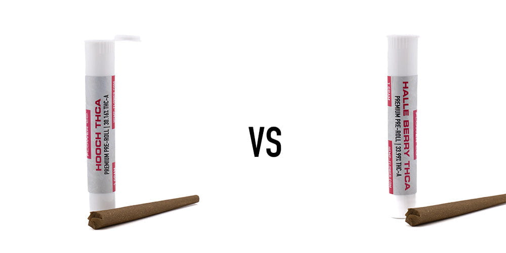 Halle Berry THCa Pre-Roll vs Hooch THCa Pre-Roll