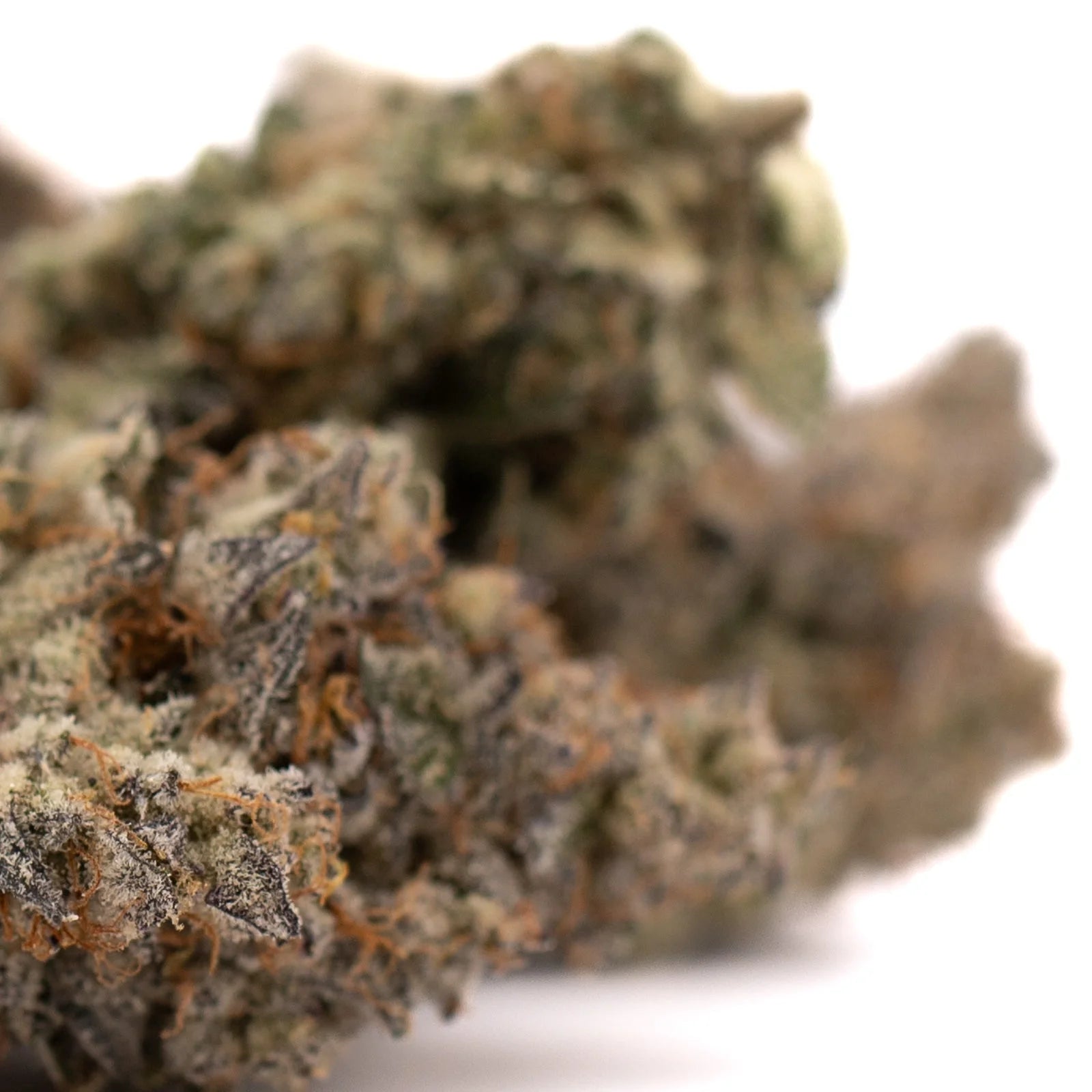 Close-up of White Runtz #2 Indoor THCa Flower showing colorful green, purple, orange hairs, and frosty trichomes