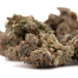Close-up of White Runtz #2 indoor THCa flower with orange hairs and trichomes