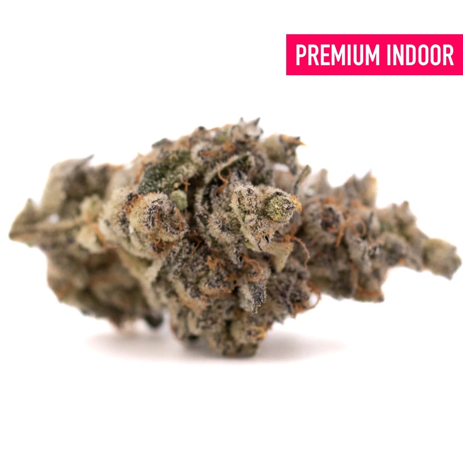 White Runtz THCa flower with dense buds, trichomes, and orange hairs for premium quality