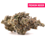 White Runtz THCa flower with dense buds, trichomes, and orange hairs for premium quality