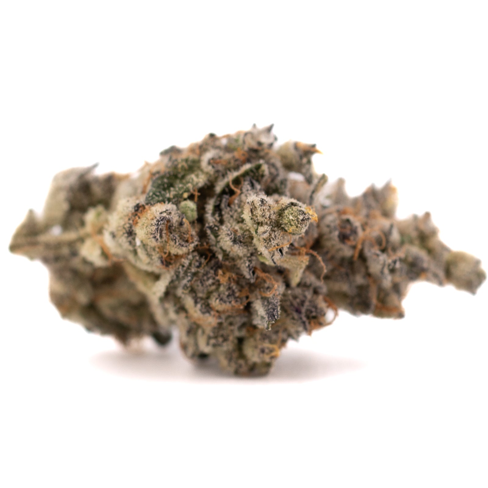 White Runtz #2 indoor THCa flower with dense trichomes, orange hairs, green and purple hues
