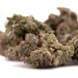 White Runtz THCA flower with orange pistils and white trichomes for hybrid experience