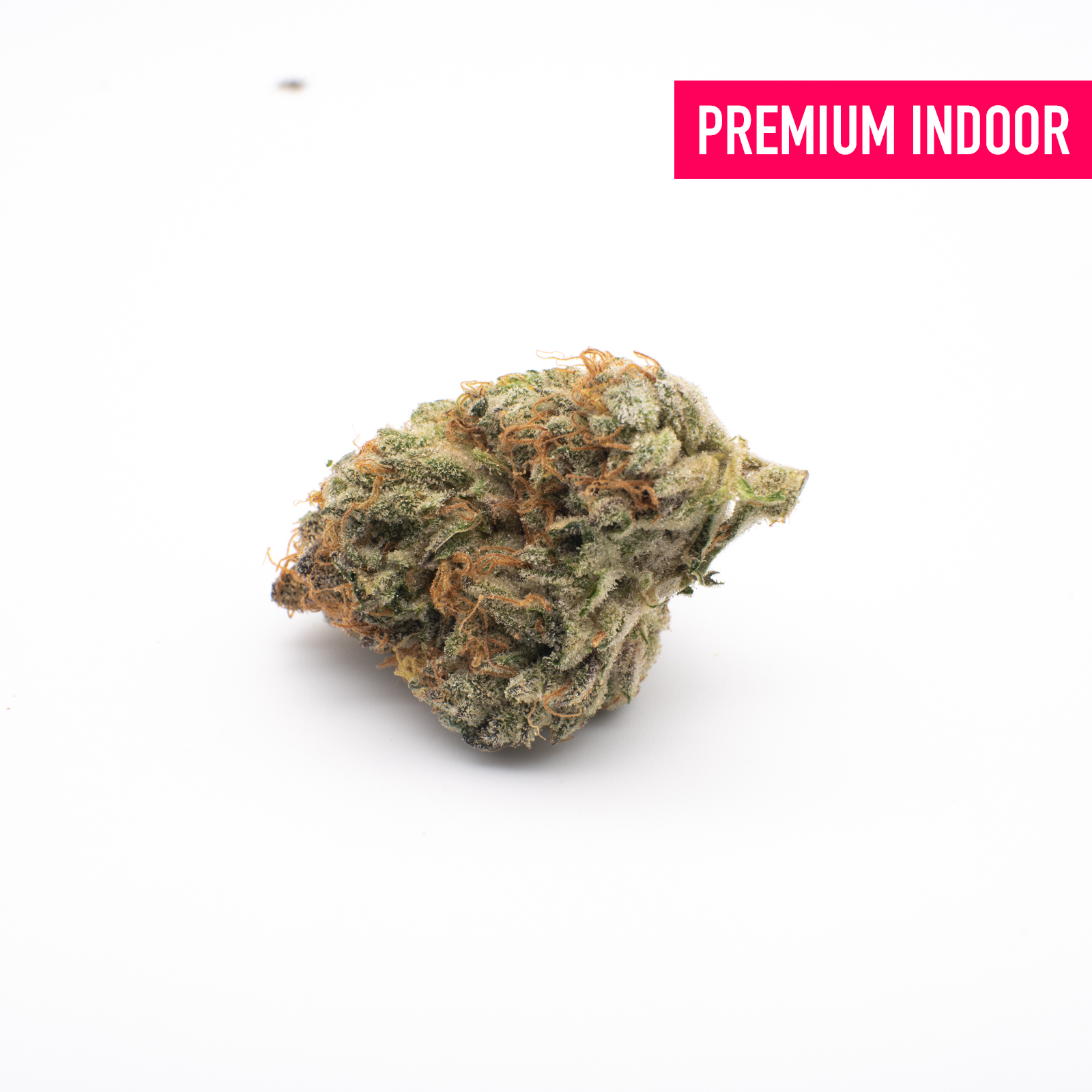 White Runtz Indoor THCa Flower - Plants