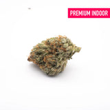 White Runtz Indoor THCa Flower - Plants