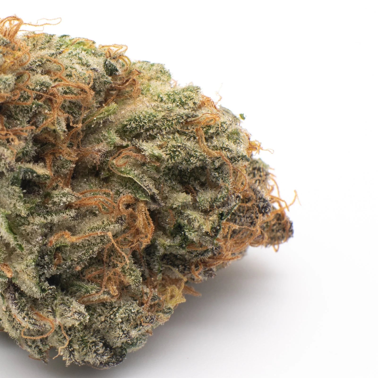 White Runtz Indoor THCa Flower - Plants