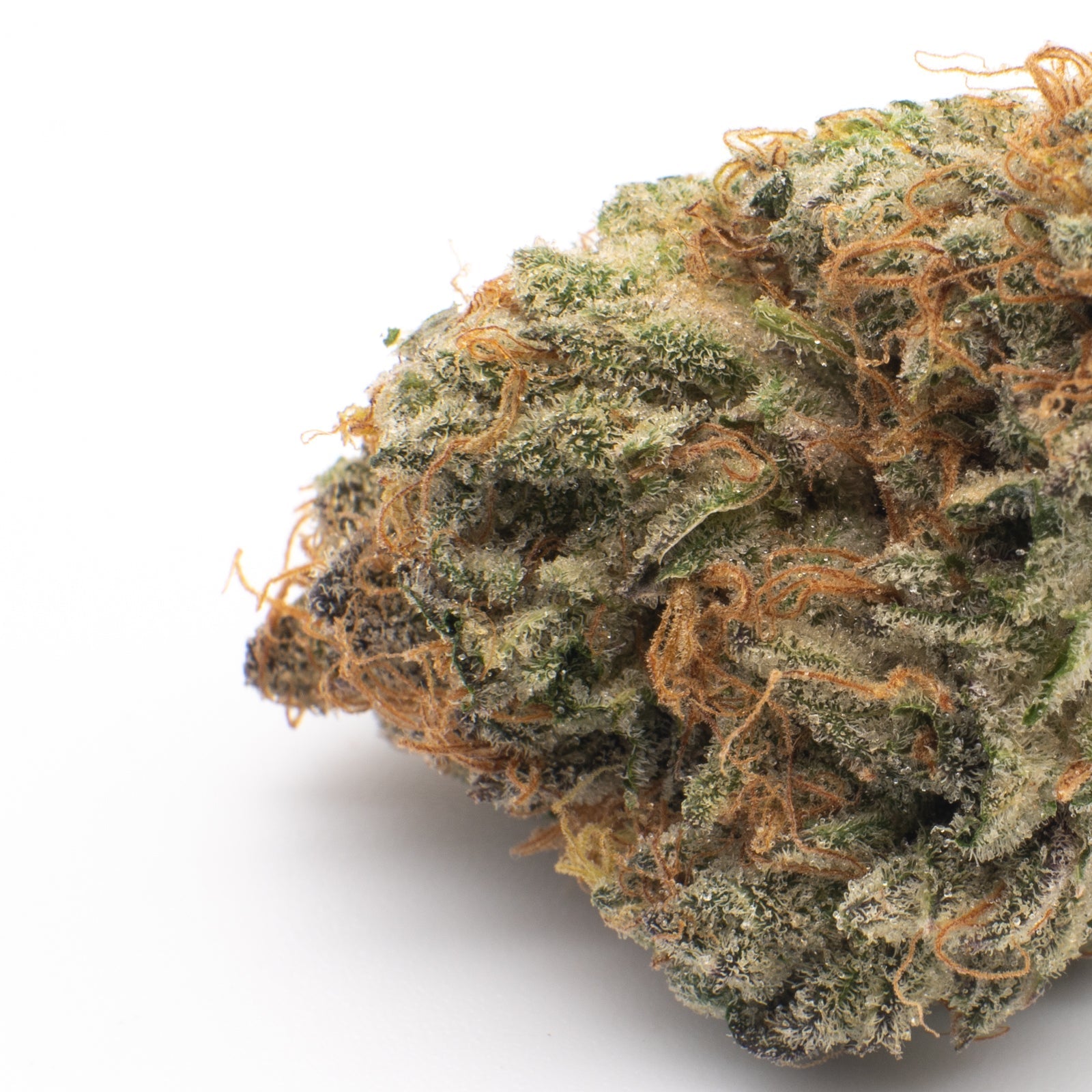 White Runtz THCa Flower Wholesale - 1/2lb - Plants