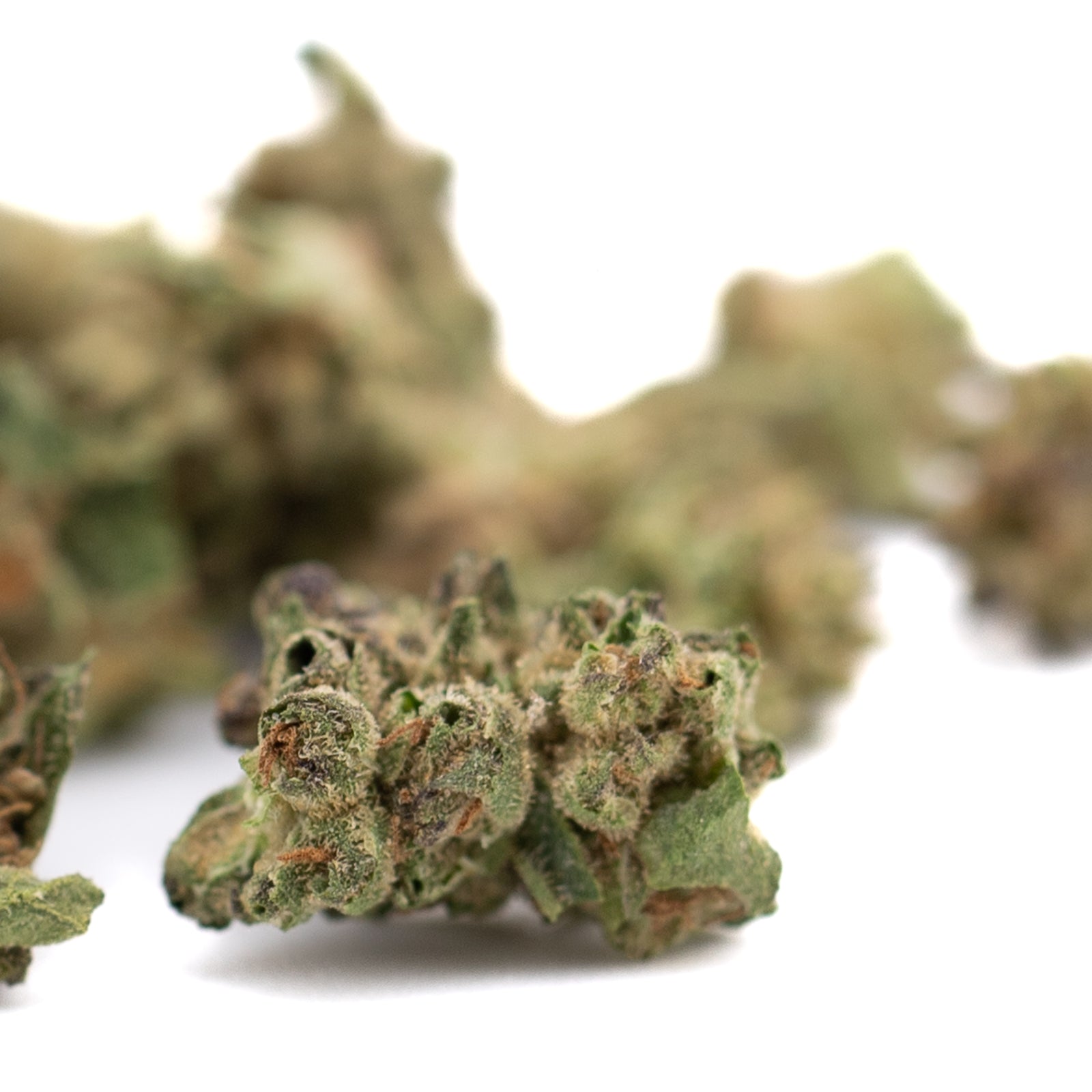 Dried White Runtz THCa hemp flower full-term smalls with trichomes and orange hairs