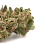 Dense White Runtz THCa hemp flower full-term smalls with trichomes, orange pistils, and green foliage