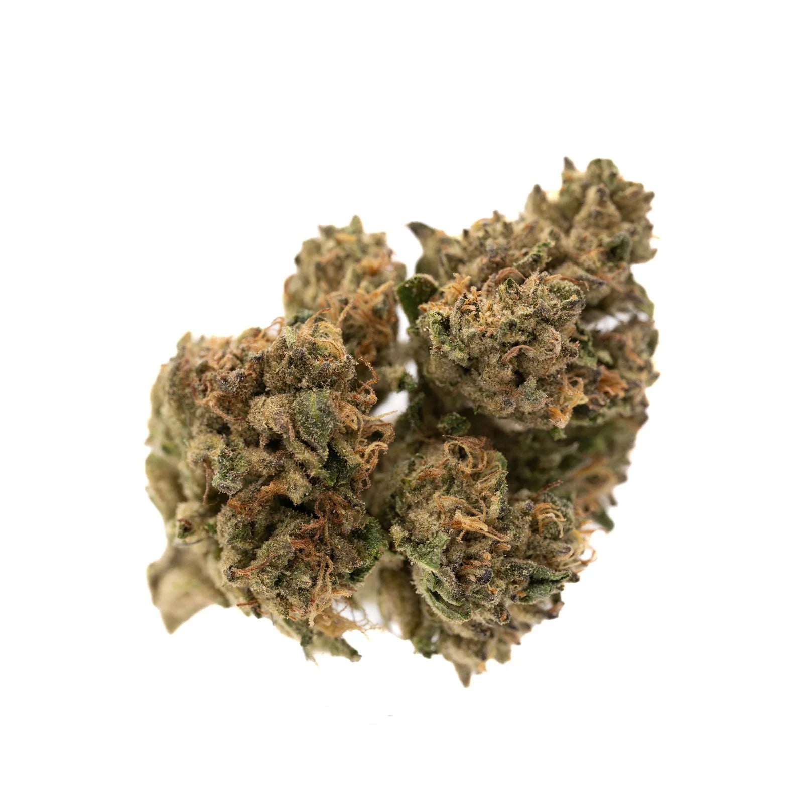 White Runtz THCa Hemp Flower Wholesale - Plants