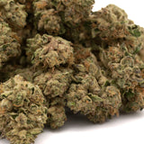 White Runtz THCa Hemp Flower Wholesale - Plants