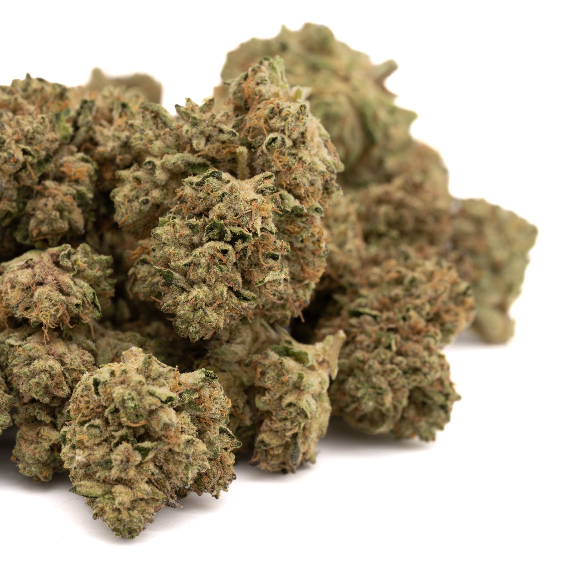 White Runtz THCa Hemp Flower Wholesale - Plants
